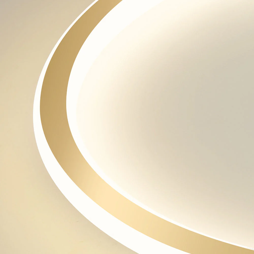 Modern Minimalist Round LED Ceiling Light �?Flush Mount - Iron & Acrylic