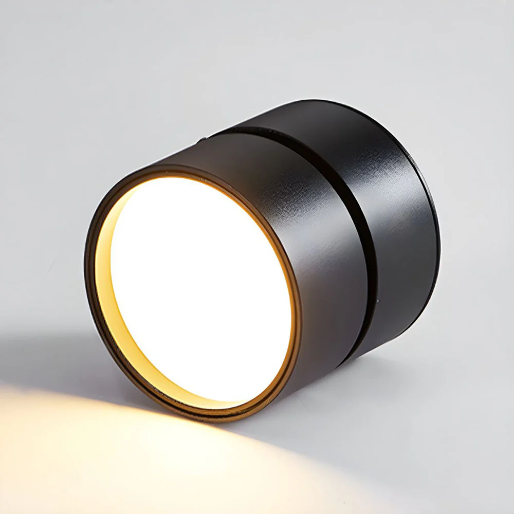 Modern Adjustable LED Ceiling Spotlight �C Minimalist Aluminium Flush Mount Light