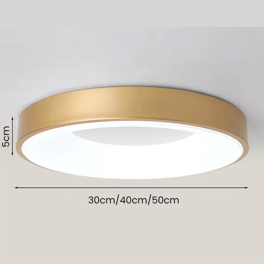 Modern Minimalist LED Ceiling Light �C Round Flush Mount with Acrylic Diffuser, 240V