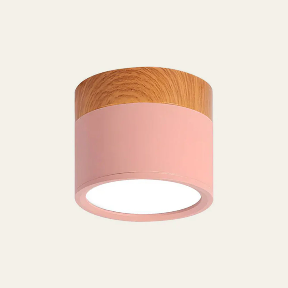 Modern Flush Mount LED Ceiling Light �?Compact Weatherproof Aluminium Fixture for Porch & Hallway