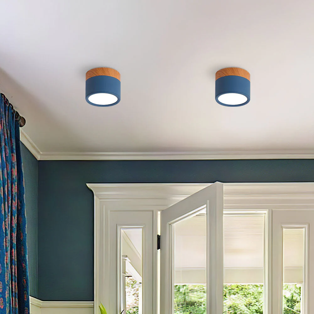 Modern Flush Mount LED Ceiling Light �?Compact Weatherproof Aluminium Fixture for Porch & Hallway