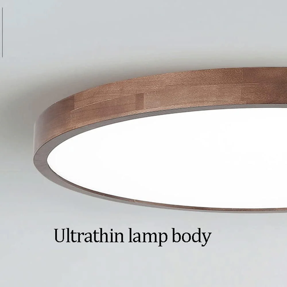 Modern Flush Mount LED Ceiling Light �?Minimalist Acrylic Round Fixture