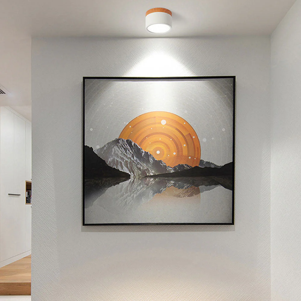 Modern Flush Mount LED Ceiling Light �?Compact Weatherproof Aluminium Fixture for Porch & Hallway