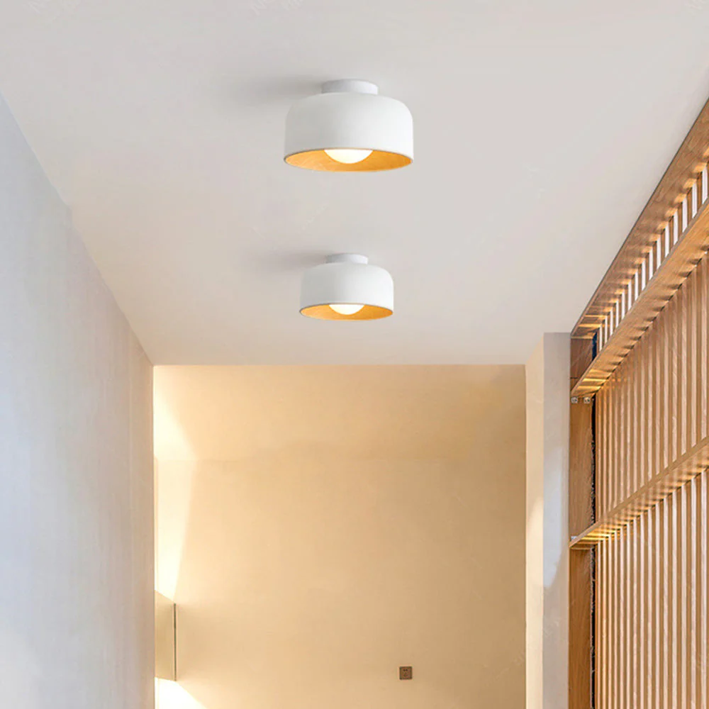 Modern Minimalist Metal Ceiling Light �C Flush Mount Fixture for Living & Dining Rooms