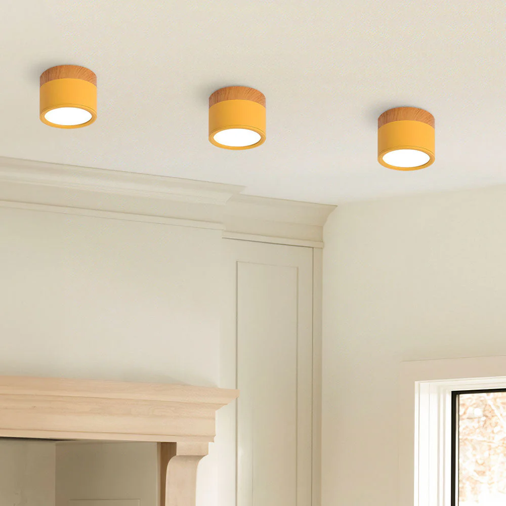 Modern Flush Mount LED Ceiling Light �?Compact Weatherproof Aluminium Fixture for Porch & Hallway
