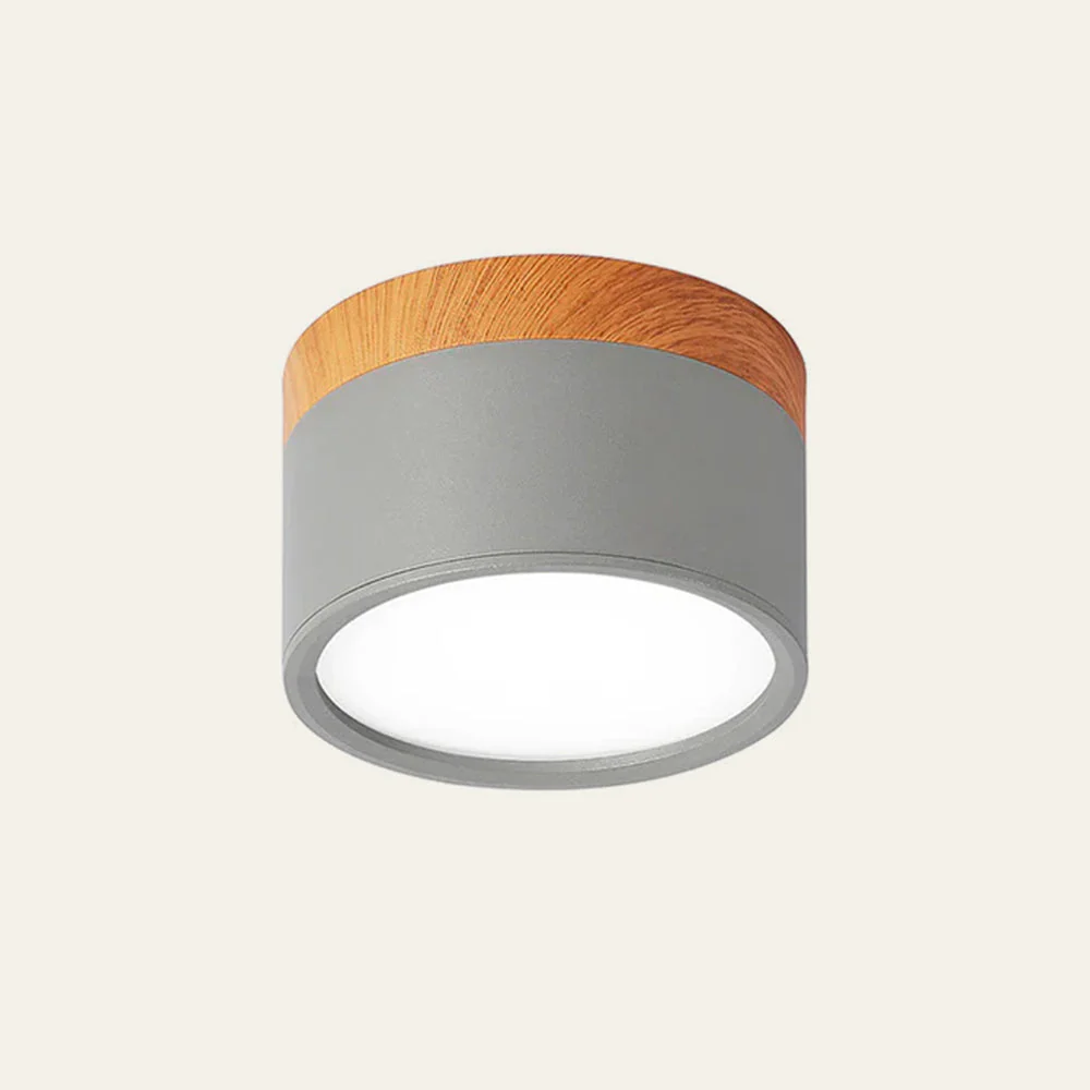 Modern Flush Mount LED Ceiling Light �?Compact Weatherproof Aluminium Fixture for Porch & Hallway