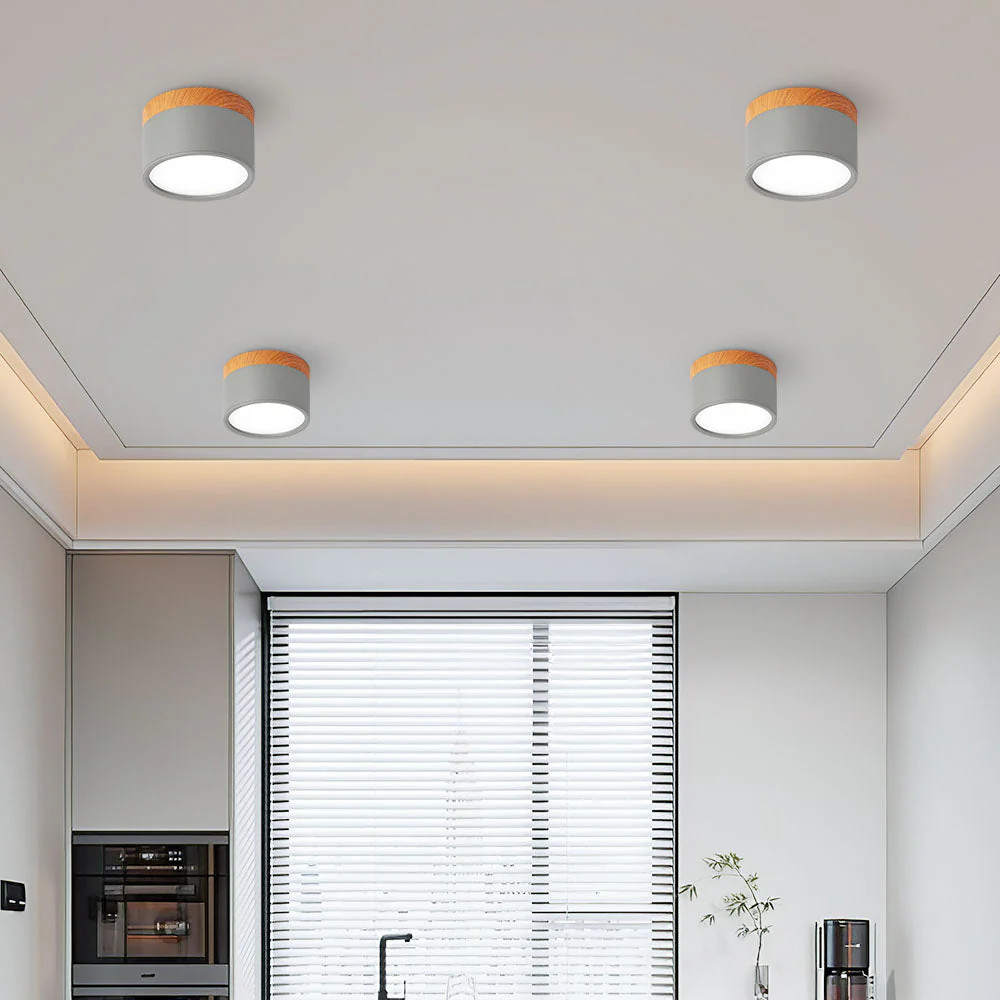 Modern Flush Mount LED Ceiling Light �?Compact Weatherproof Aluminium Fixture for Porch & Hallway