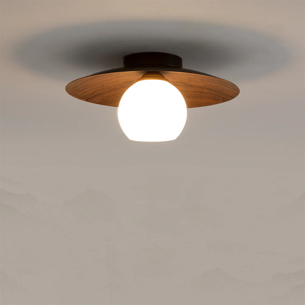 Modern Minimalist Flush Mount Ceiling Light �C Iron & Glass Dome for Hallway or Entryway