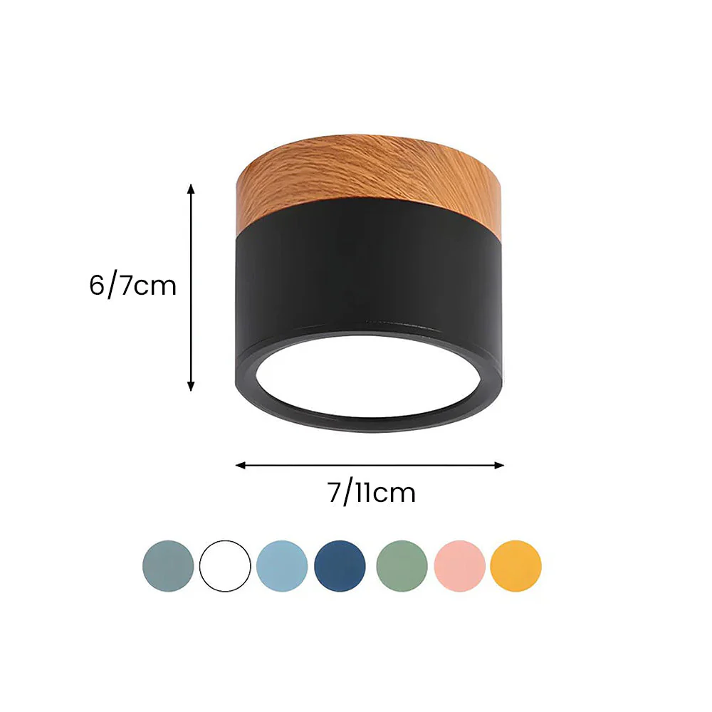 Modern Flush Mount LED Ceiling Light �?Compact Weatherproof Aluminium Fixture for Porch & Hallway