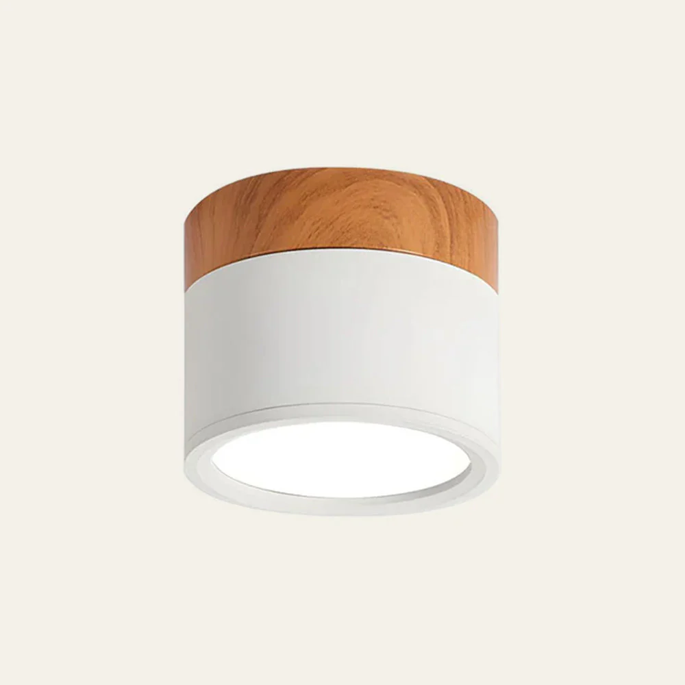 Modern Flush Mount LED Ceiling Light �?Compact Weatherproof Aluminium Fixture for Porch & Hallway