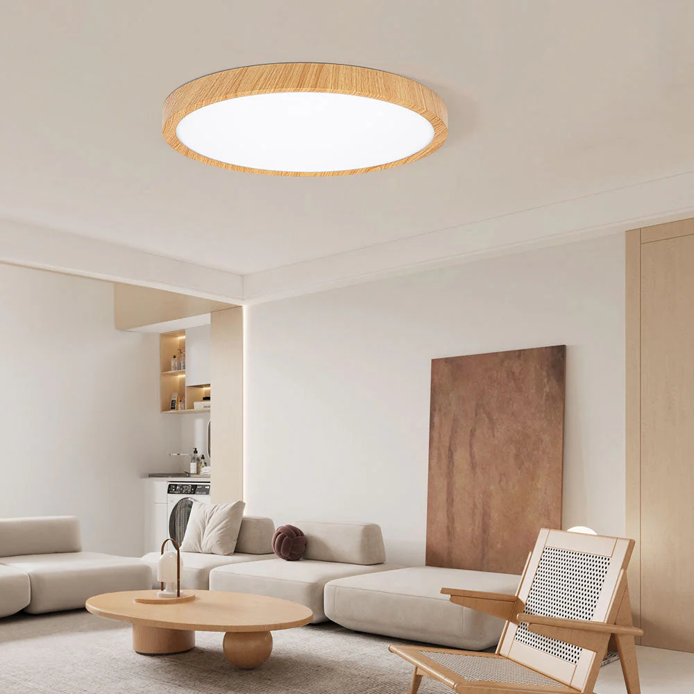Modern Flush Mount LED Ceiling Light �?Minimalist Acrylic Round Fixture