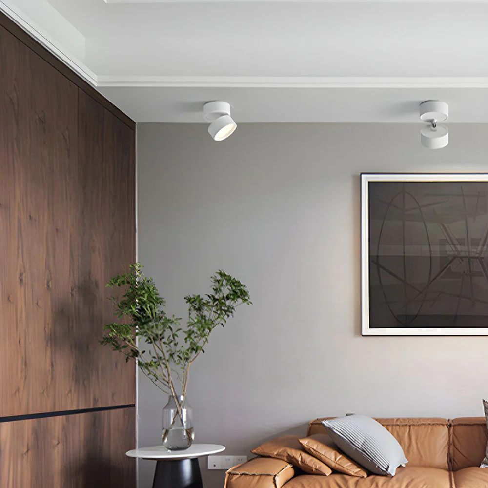 Modern Adjustable LED Ceiling Spotlight �C Minimalist Aluminium Flush Mount Light