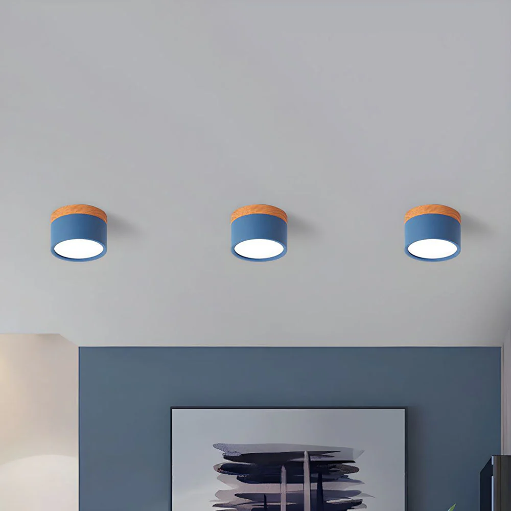 Modern Flush Mount LED Ceiling Light �?Compact Weatherproof Aluminium Fixture for Porch & Hallway