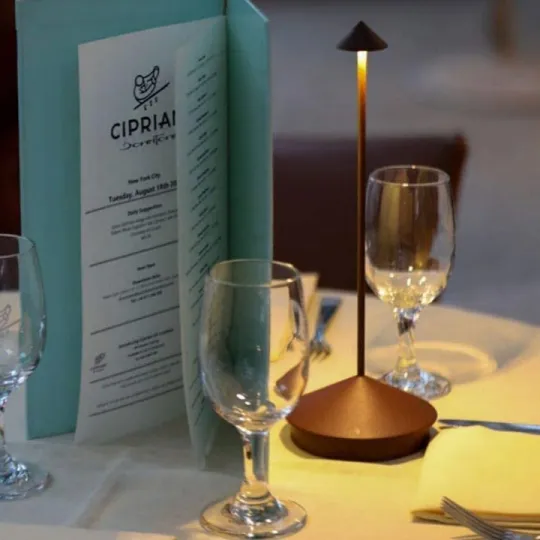 Wireless LED Table Lamp �C Dimmable, Waterproof, Modern Aluminium Design