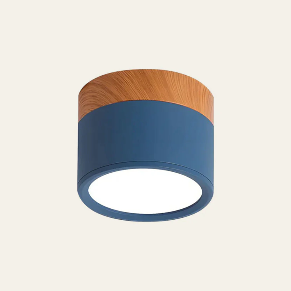 Modern Flush Mount LED Ceiling Light �?Compact Weatherproof Aluminium Fixture for Porch & Hallway