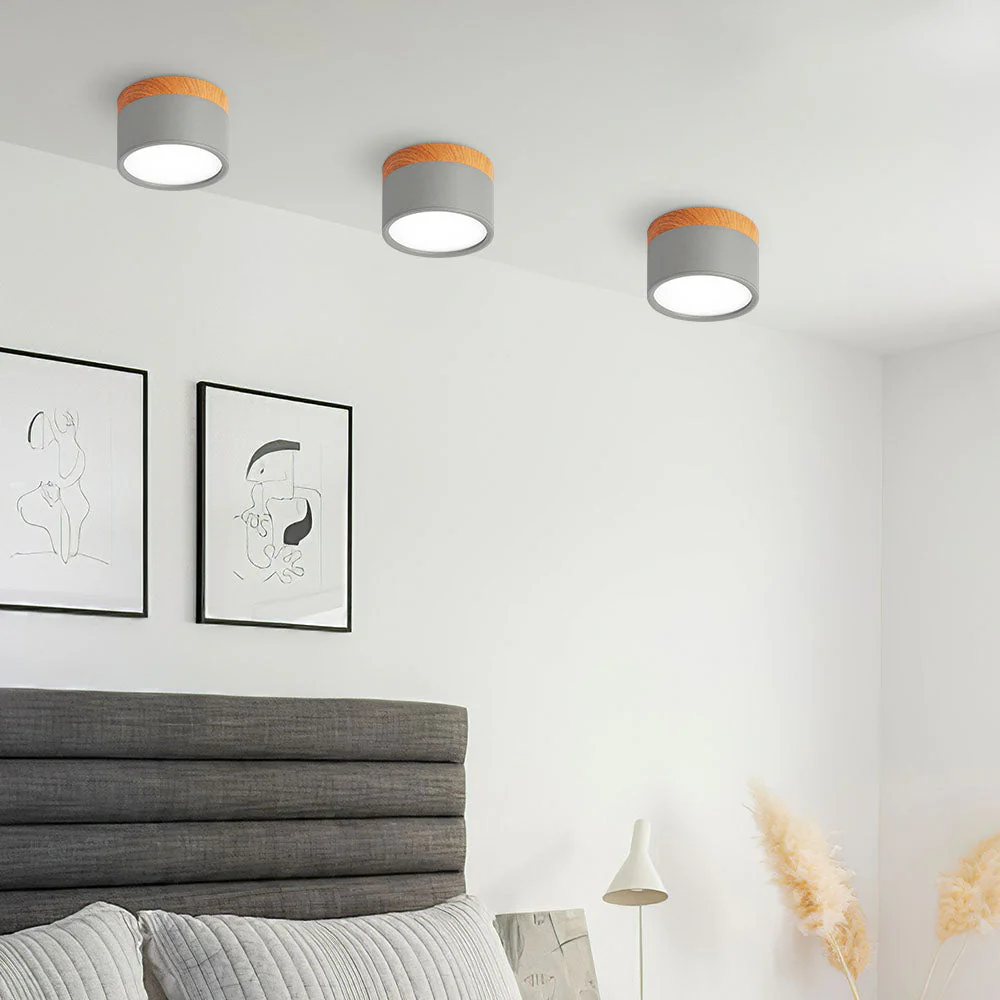 Modern Flush Mount LED Ceiling Light �?Compact Weatherproof Aluminium Fixture for Porch & Hallway