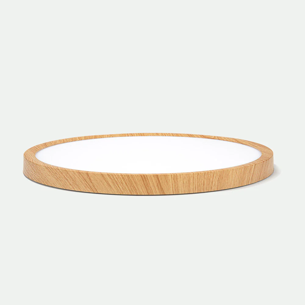 Modern Flush Mount LED Ceiling Light �?Minimalist Acrylic Round Fixture