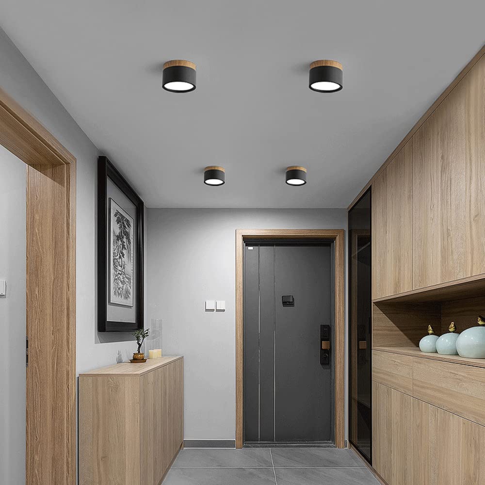 Modern Flush Mount LED Ceiling Light �?Compact Weatherproof Aluminium Fixture for Porch & Hallway