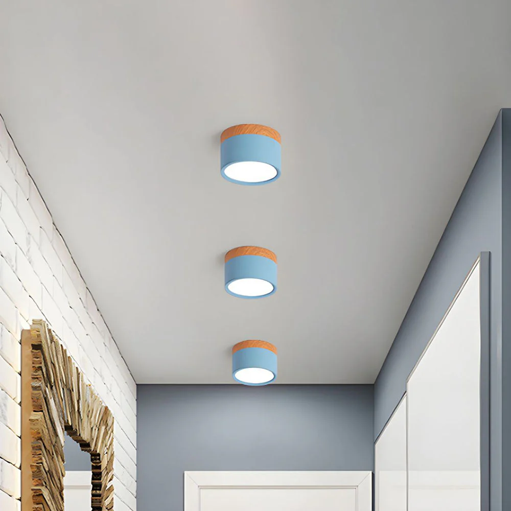 Modern Cylinder LED Flush Ceiling Light �C Minimalist Aluminium Fixture for Hallway or Lounge