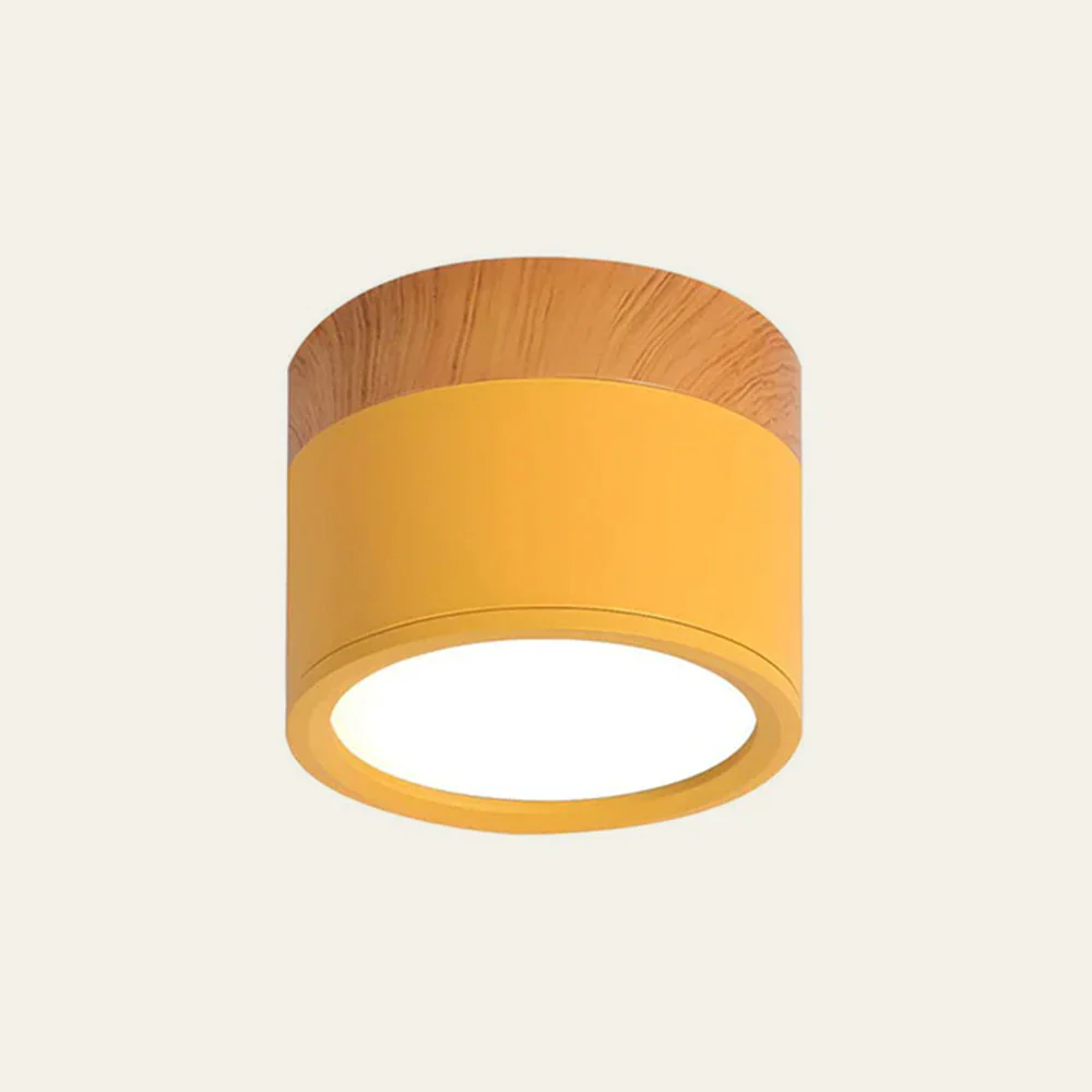 Modern Flush Mount LED Ceiling Light �?Compact Weatherproof Aluminium Fixture for Porch & Hallway