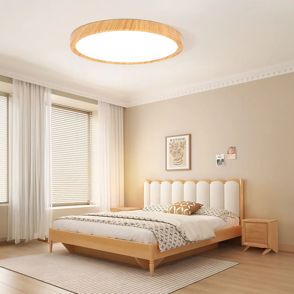Modern Flush Mount LED Ceiling Light �?Minimalist Acrylic Round Fixture