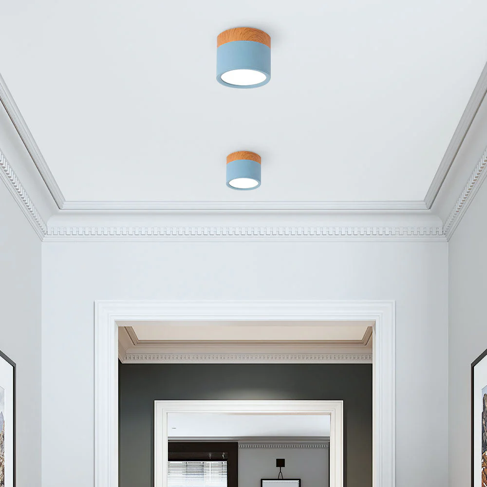 Modern Flush Mount LED Ceiling Light �?Compact Weatherproof Aluminium Fixture for Porch & Hallway