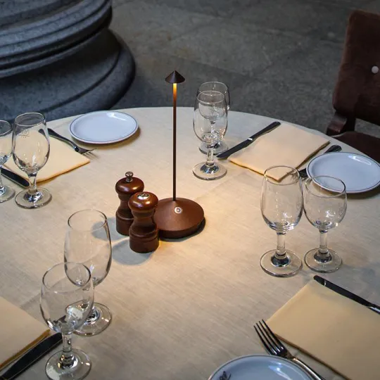 Wireless LED Table Lamp �C Dimmable, Waterproof, Modern Aluminium Design