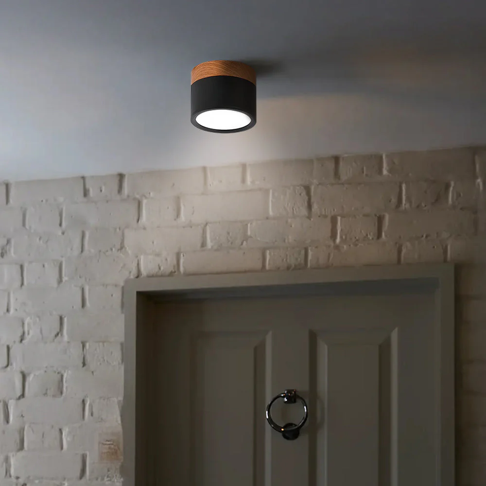 Modern Flush Mount LED Ceiling Light �?Compact Weatherproof Aluminium Fixture for Porch & Hallway