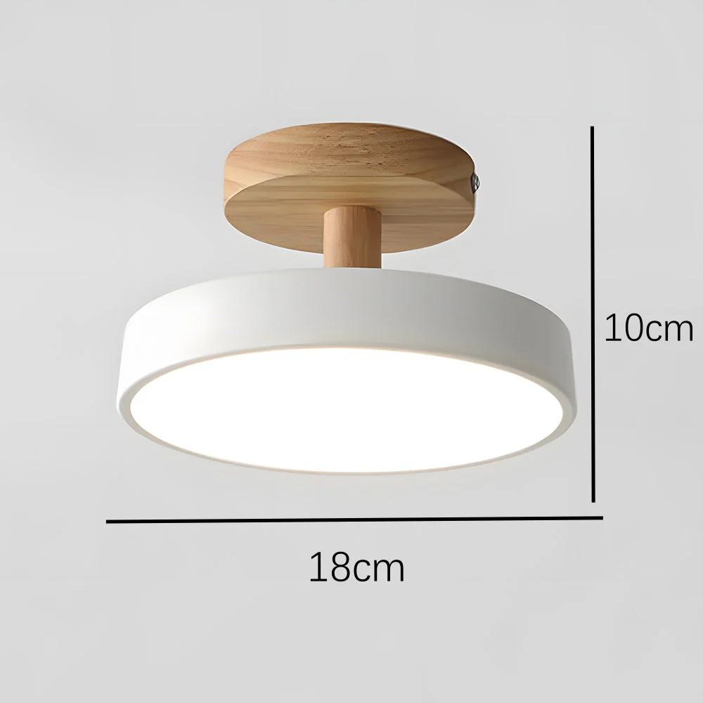 Modern Flush Mount LED Ceiling Light �C Wood & Iron, Minimalist Round Design