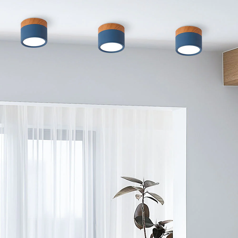 Modern Flush Mount LED Ceiling Light �?Compact Weatherproof Aluminium Fixture for Porch & Hallway