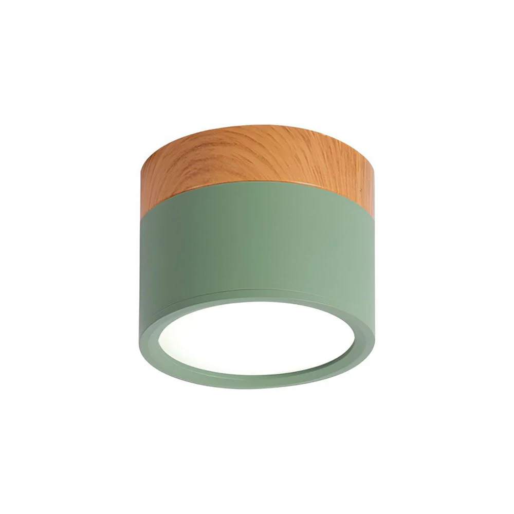 Modern Flush Mount LED Ceiling Light �?Compact Weatherproof Aluminium Fixture for Porch & Hallway
