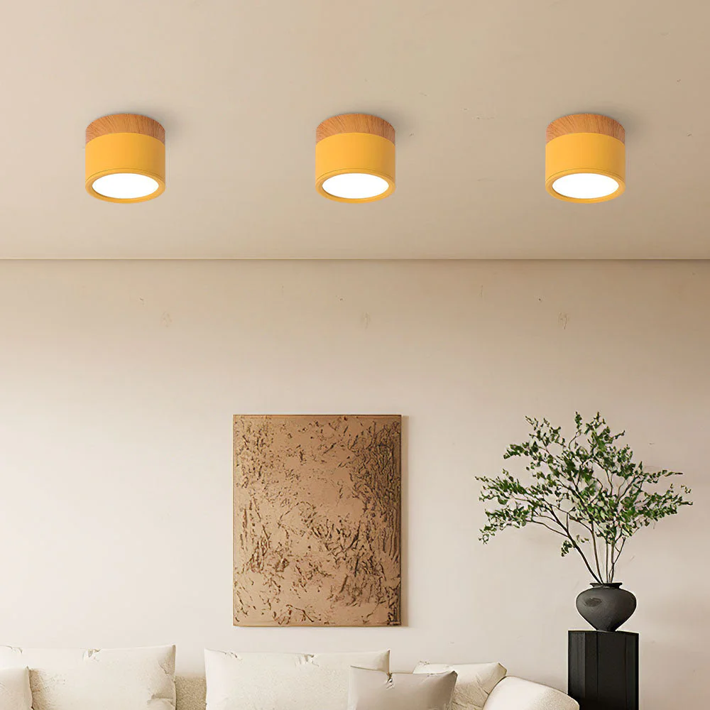 Modern Flush Mount LED Ceiling Light �?Compact Weatherproof Aluminium Fixture for Porch & Hallway