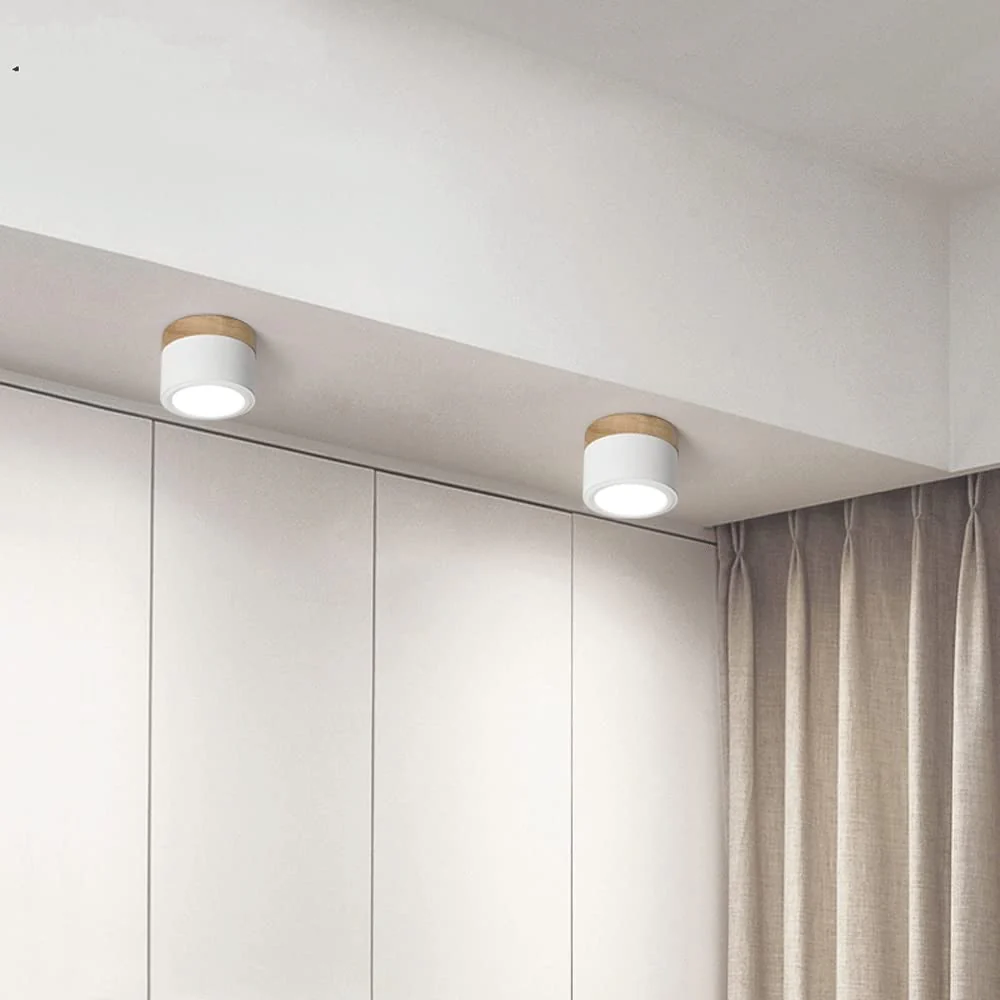 Modern Flush Mount LED Ceiling Light �?Compact Weatherproof Aluminium Fixture for Porch & Hallway