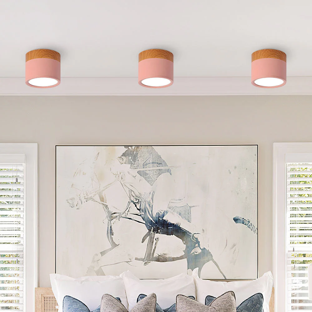 Modern Flush Mount LED Ceiling Light �?Compact Weatherproof Aluminium Fixture for Porch & Hallway