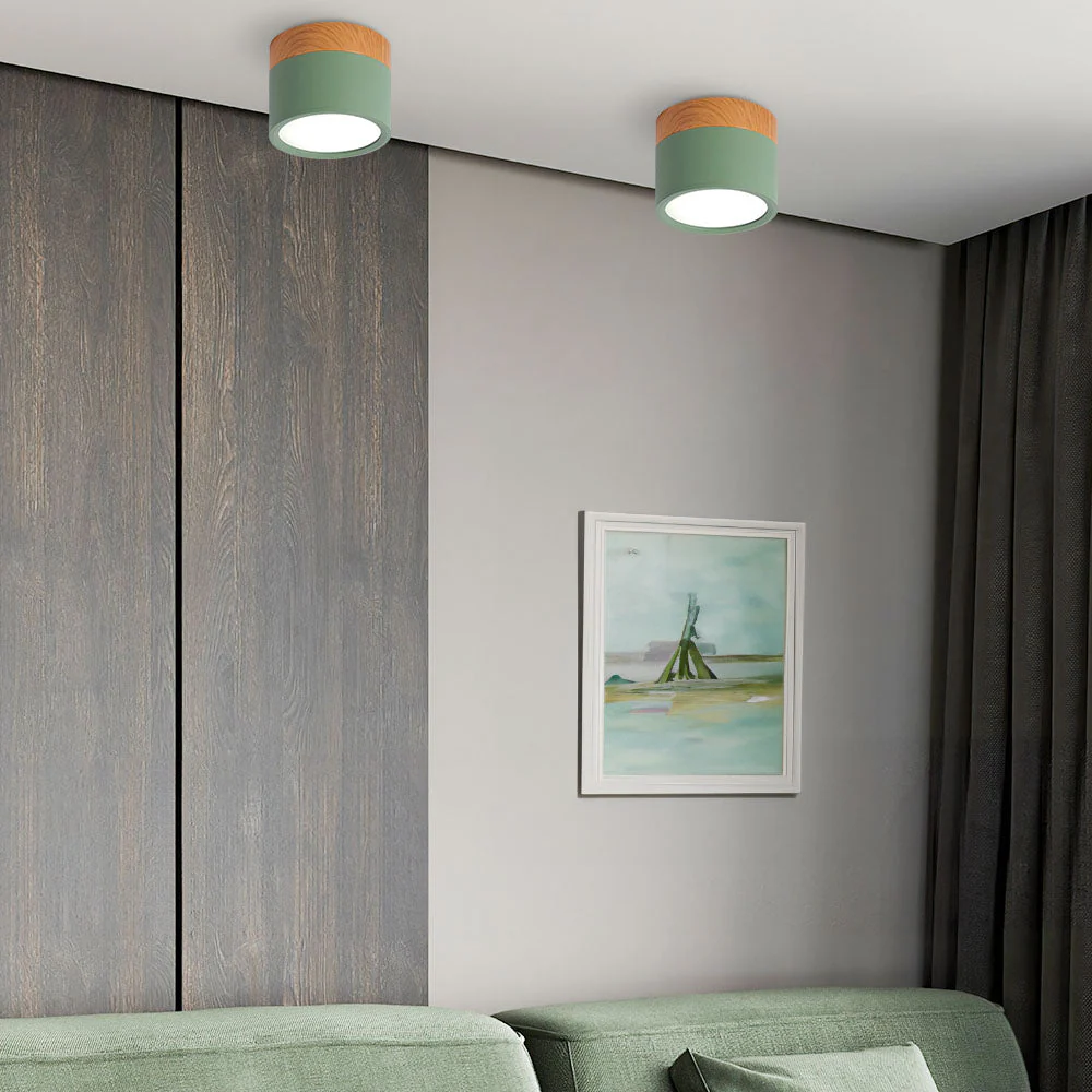 Modern Flush Mount LED Ceiling Light �?Compact Weatherproof Aluminium Fixture for Porch & Hallway