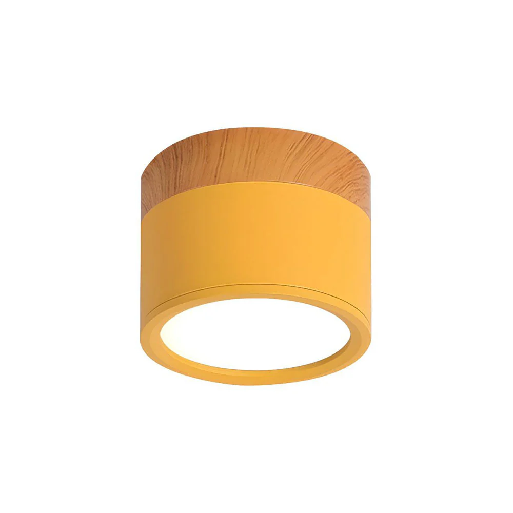 Modern Flush Mount LED Ceiling Light �?Compact Weatherproof Aluminium Fixture for Porch & Hallway
