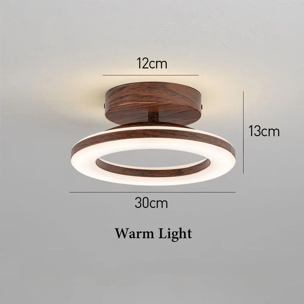Modern Acrylic Flush Mount LED Ceiling Light �C Round Double Ring Hallway Fixture