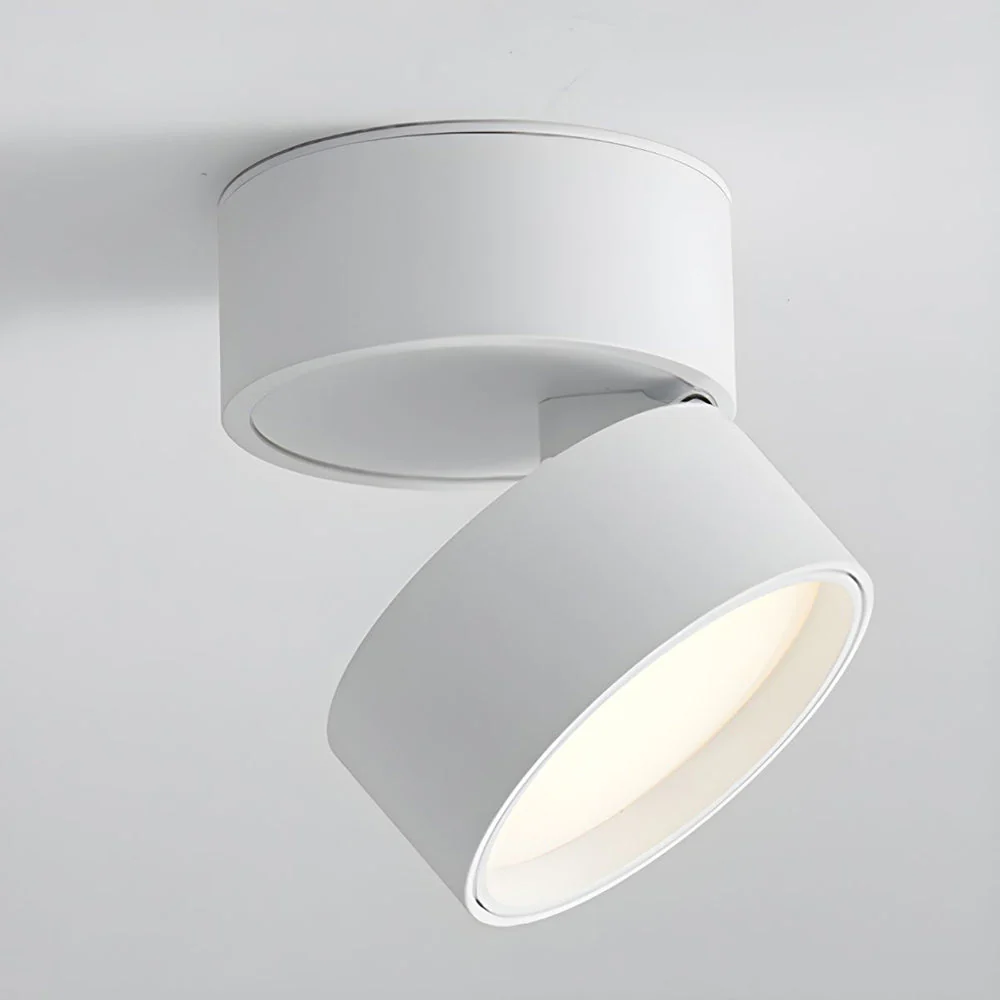 Modern Adjustable LED Ceiling Spotlight �C Minimalist Aluminium Flush Mount Light