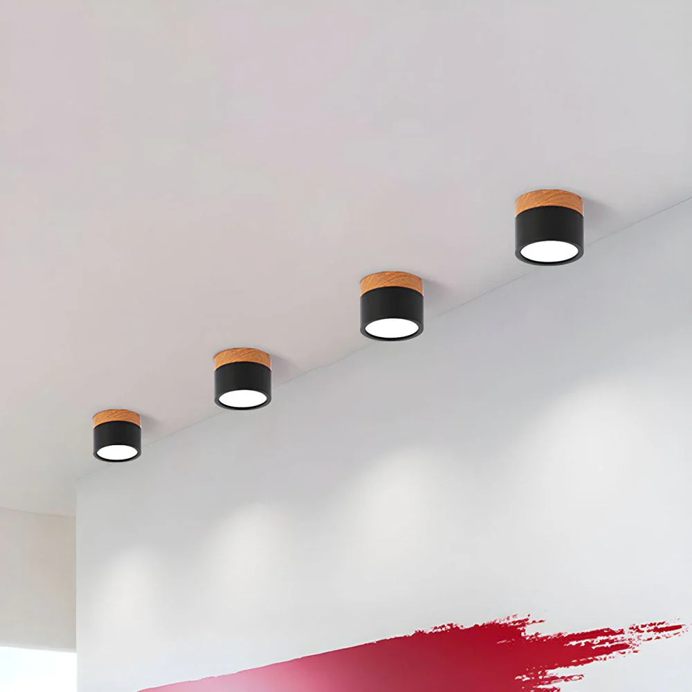 Modern Flush Mount LED Ceiling Light �?Compact Weatherproof Aluminium Fixture for Porch & Hallway