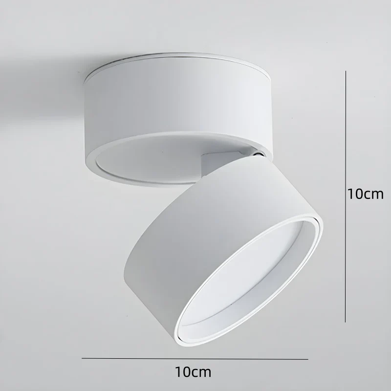 Modern Adjustable LED Ceiling Spotlight �C Minimalist Aluminium Flush Mount Light