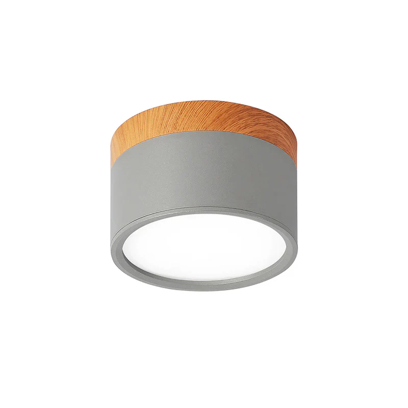 Modern Flush Mount LED Ceiling Light �?Compact Weatherproof Aluminium Fixture for Porch & Hallway
