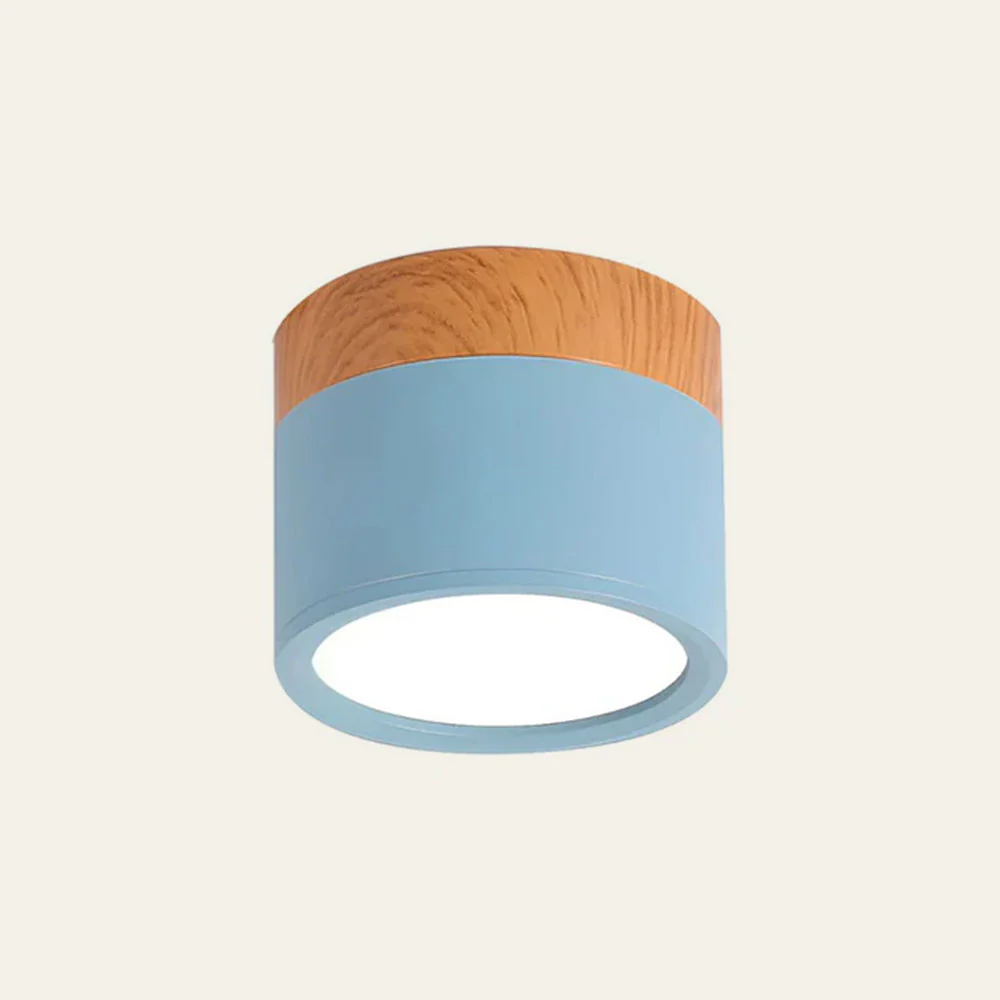 Modern Flush Mount LED Ceiling Light �?Compact Weatherproof Aluminium Fixture for Porch & Hallway