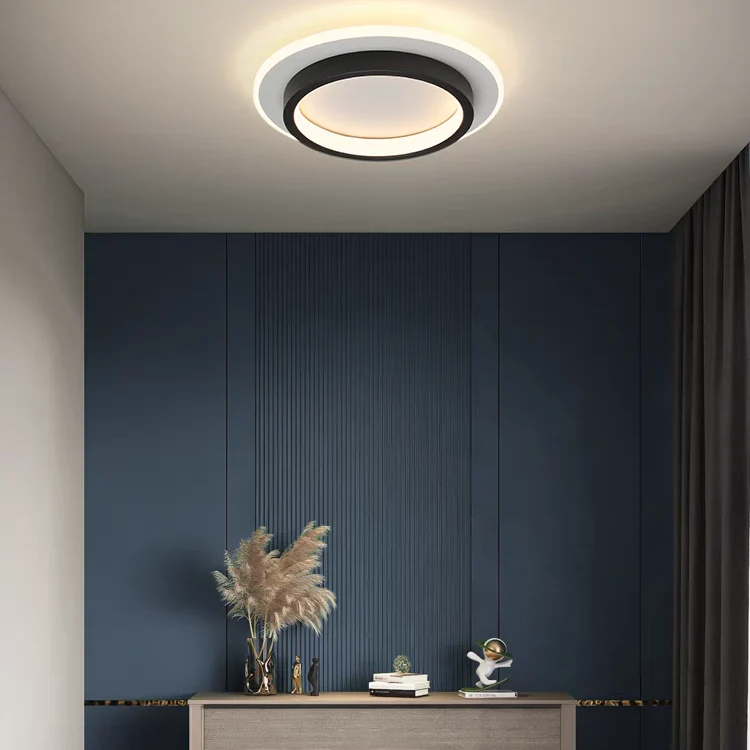Modern Flush Mount LED Ceiling Light �C Minimalist Round Acrylic Design, 3 Colour Modes