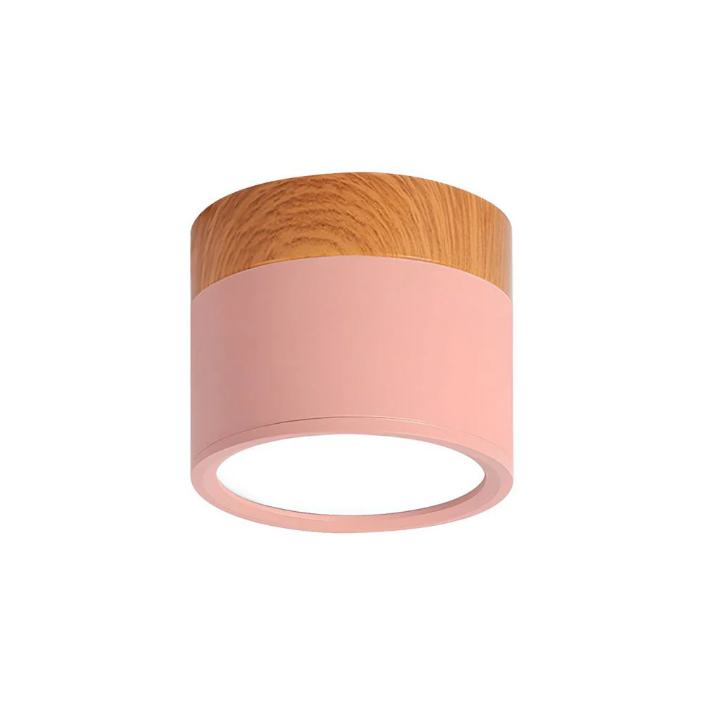 Modern Flush Mount LED Ceiling Light �?Compact Weatherproof Aluminium Fixture for Porch & Hallway