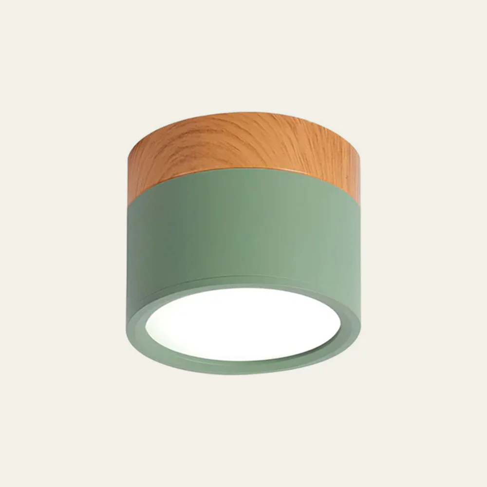 Modern Flush Mount LED Ceiling Light �?Compact Weatherproof Aluminium Fixture for Porch & Hallway