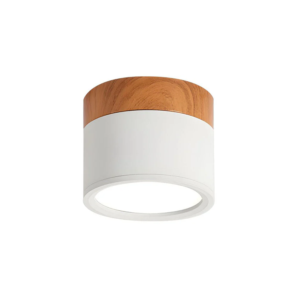 Modern Flush Mount LED Ceiling Light �?Compact Weatherproof Aluminium Fixture for Porch & Hallway