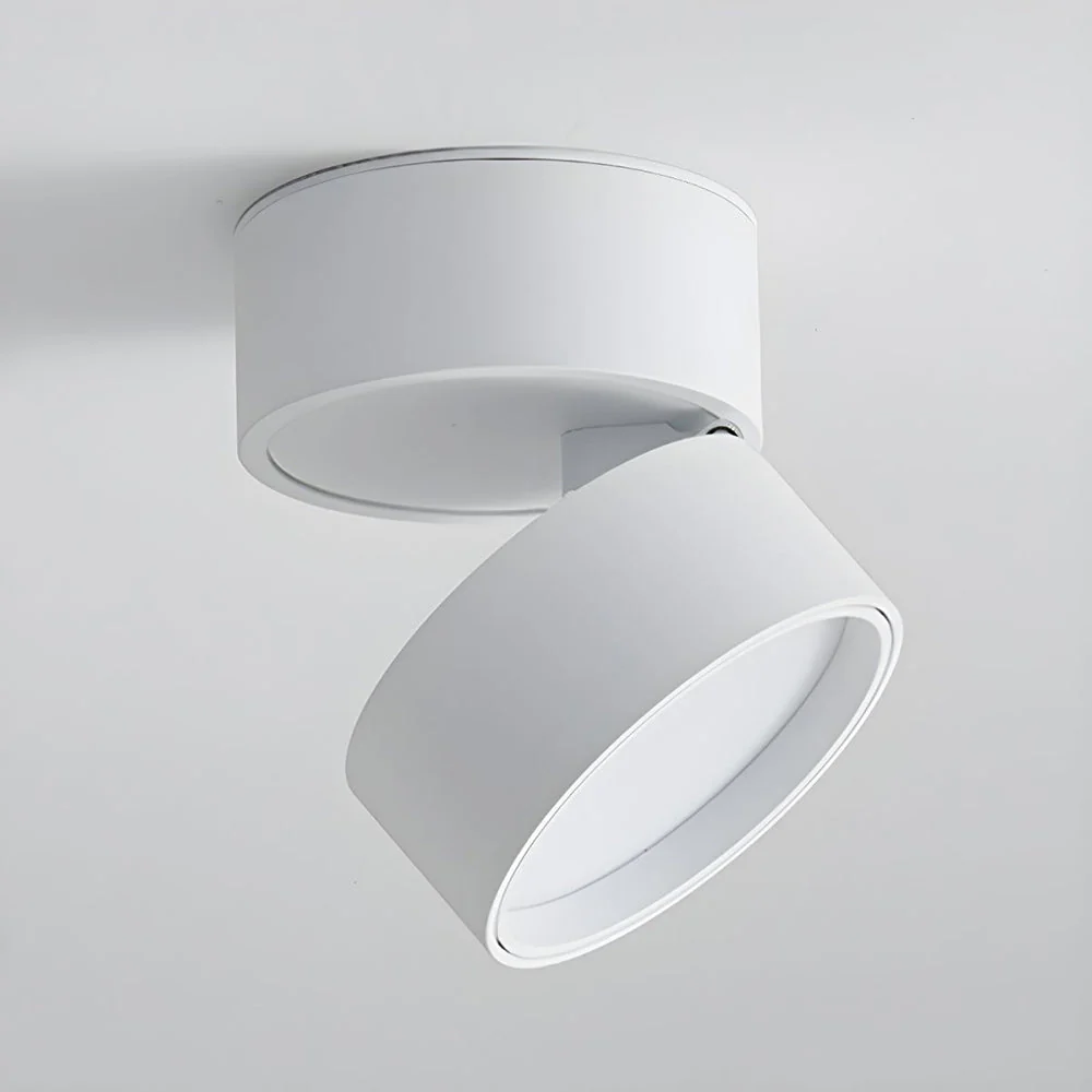 Modern Adjustable LED Ceiling Spotlight �C Minimalist Aluminium Flush Mount Light