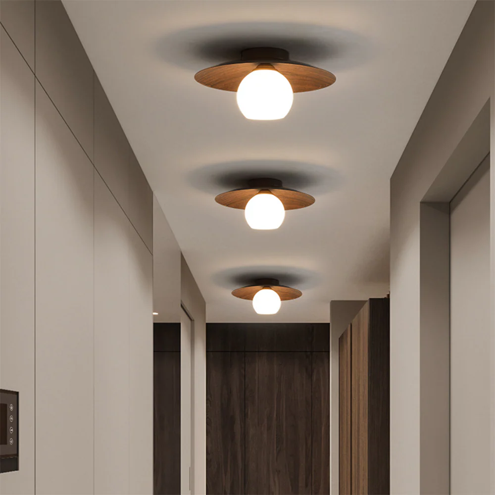 Modern Minimalist Flush Mount Ceiling Light �C Iron & Glass Dome for Hallway or Entryway
