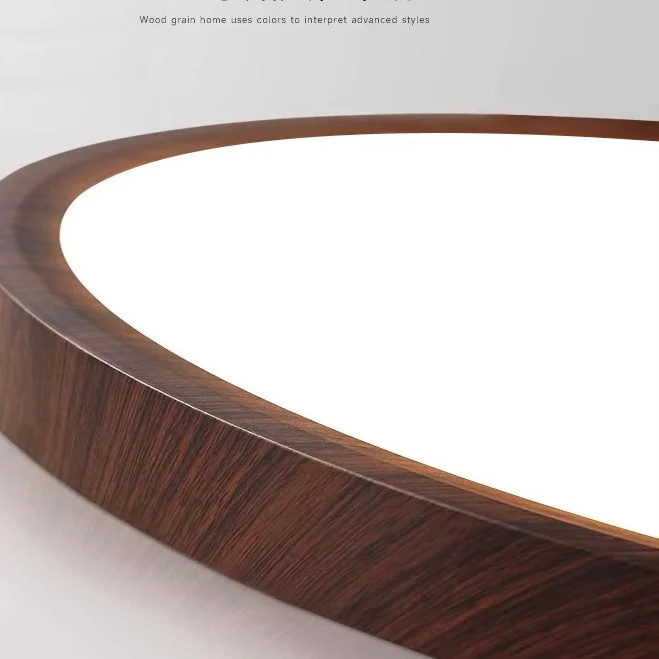 Modern Flush Mount LED Ceiling Light �?Minimalist Acrylic Round Fixture