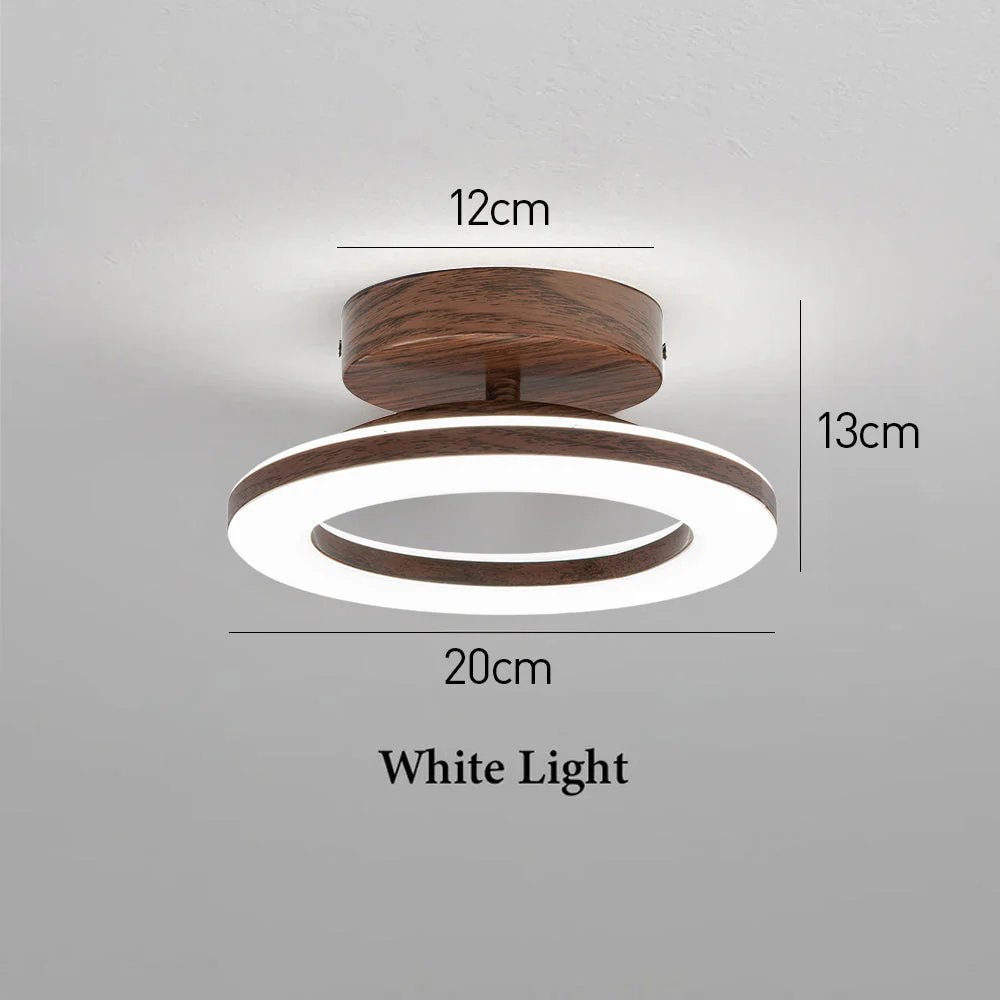 Modern Acrylic Flush Mount LED Ceiling Light �C Round Double Ring Hallway Fixture
